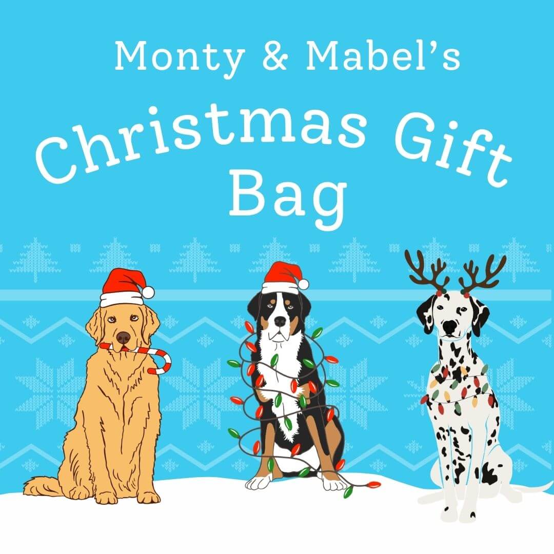 Christmas Dog Treat Gift Bag - Monty & Mabel's