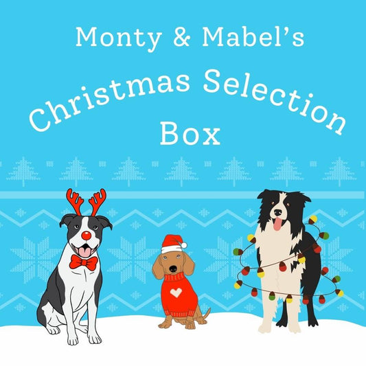 Christmas Dog Treat Selection Box - Monty & Mabel's